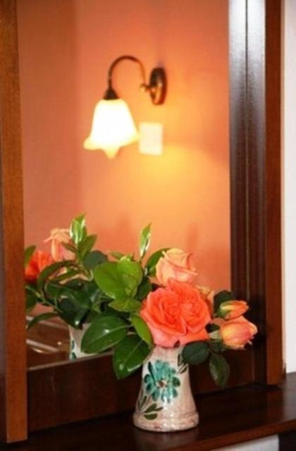 Triantafyllou Maria Rooms Skópelos Oda fotoğraf